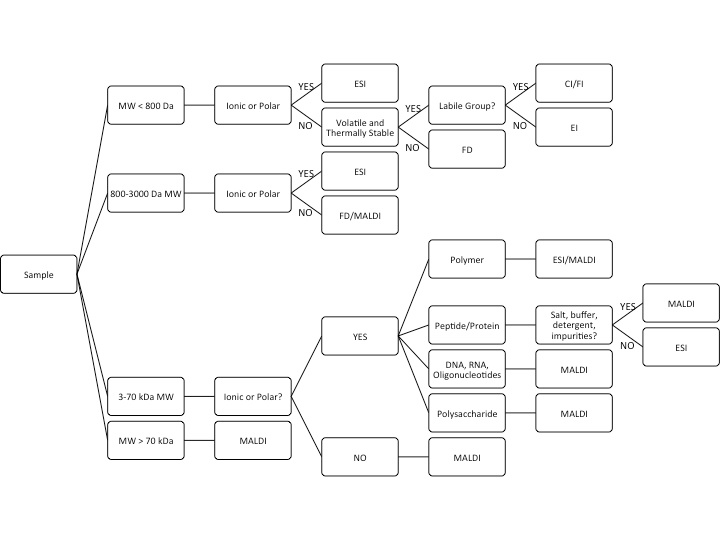 Ion Flow Chart