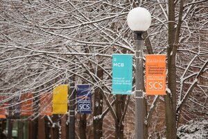 Vexilla for the Department of Chemical and Biomolecular Engineering with snow covered trees near Roger Adams Laboratory.