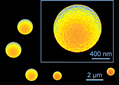 Microsphere