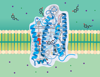 Molecular Machinery